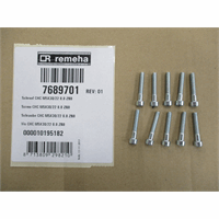 Remeha schroef CHC M5X30/ 22 8.8 ZN8 7689701