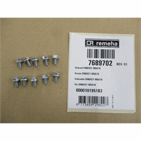 Remeha schroef DIN6921 m5x10 7689702